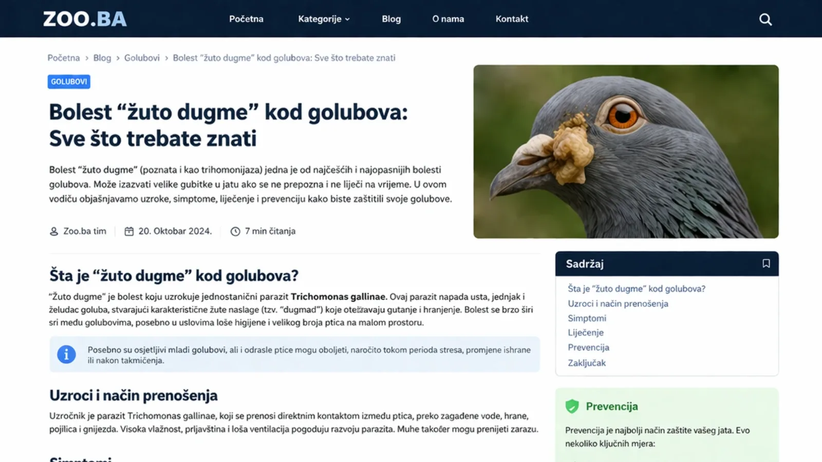 Žuto dugme/Trihomonijaza/ kod golubova – potpuni vodič