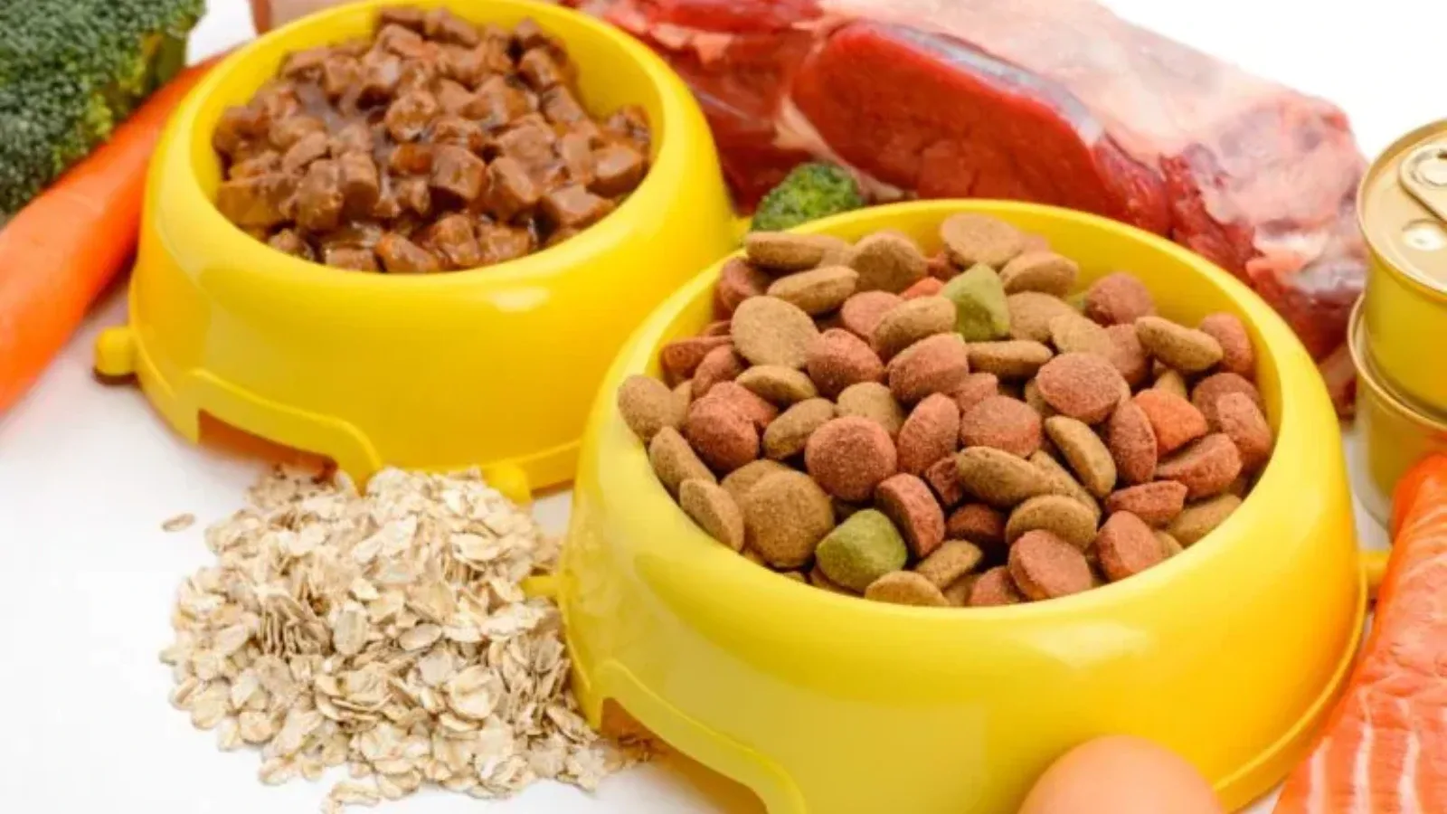 Suha, mokra ili BARF: Kako odabrati idealnu ishranu za vašeg psa?