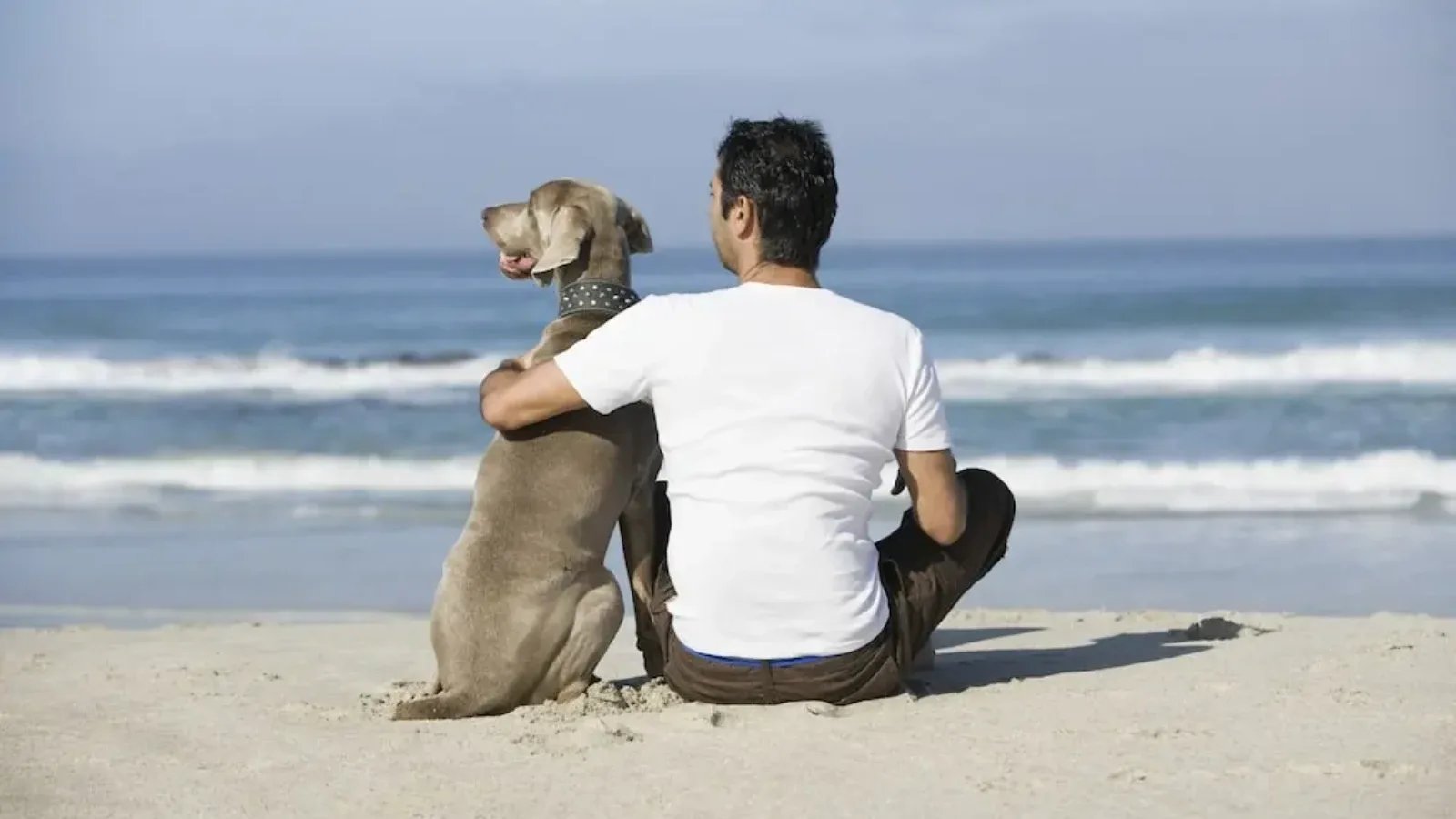 Najčešće greške novih vlasnika pasa: Kako izbjeći zamke u odgoju ljubimca