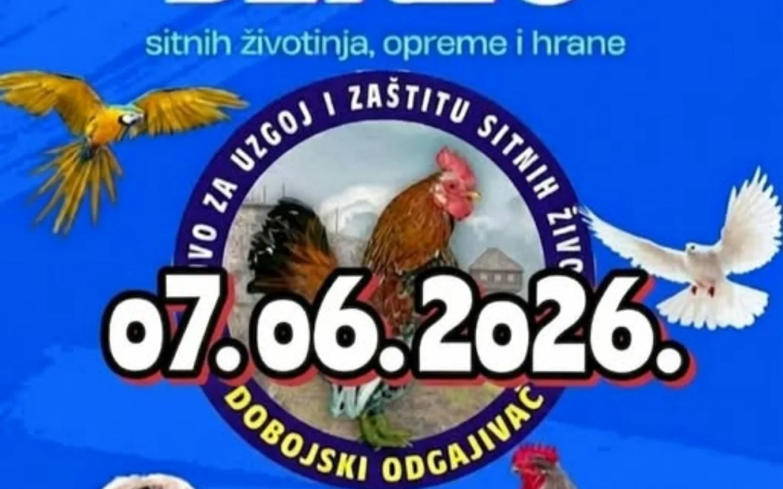 DOBOJ-IZLOZBA-BERZA-SITNE-*ZIVOTINJE