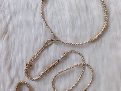 Izložbeni povoci za velike pse